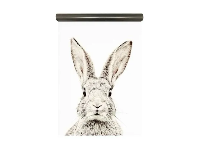 8x magnetisch behang groovy magnets, rabbit - afbeelding 1 van  4