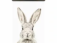 8x magnetisch behang groovy magnets, rabbit - afbeelding 1 van  4
