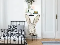 8x magnetisch behang groovy magnets, rabbit - afbeelding 2 van  4