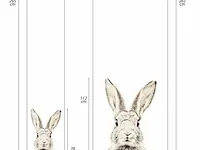 8x magnetisch behang groovy magnets, rabbit - afbeelding 3 van  4