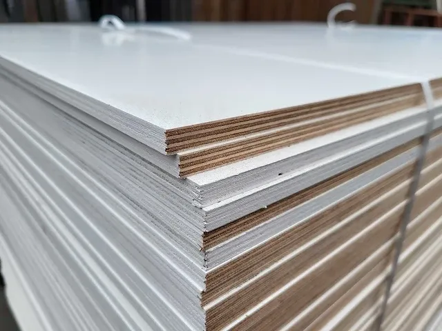 90 m2 wisa berkentriplex garant 9mm met paintfilm - afbeelding 5 van  5