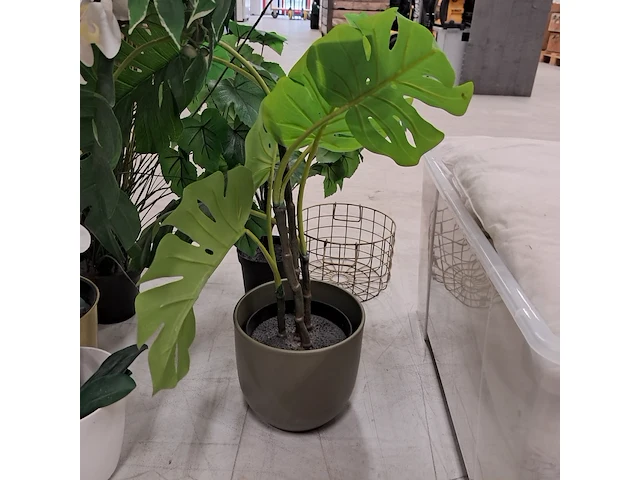 9x kunstplanten en bomen - afbeelding 2 van  12