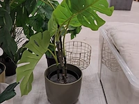 9x kunstplanten en bomen - afbeelding 2 van  12