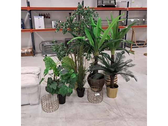 9x kunstplanten en bomen - afbeelding 1 van  12