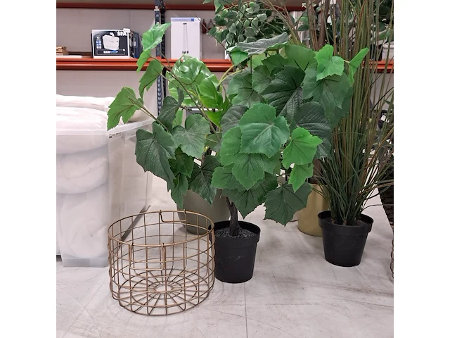 9x kunstplanten en bomen - afbeelding 5 van  12
