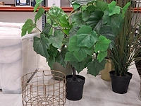 9x kunstplanten en bomen - afbeelding 5 van  12
