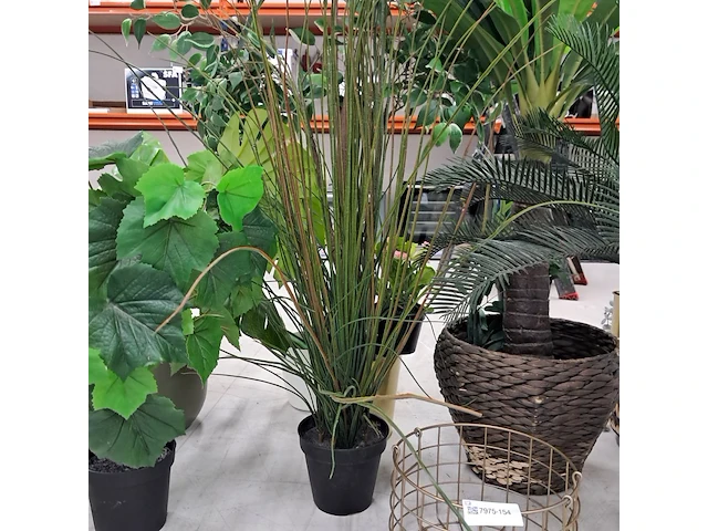 9x kunstplanten en bomen - afbeelding 6 van  12