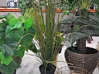 9x kunstplanten en bomen - afbeelding 6 van  12