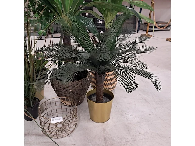 9x kunstplanten en bomen - afbeelding 8 van  12