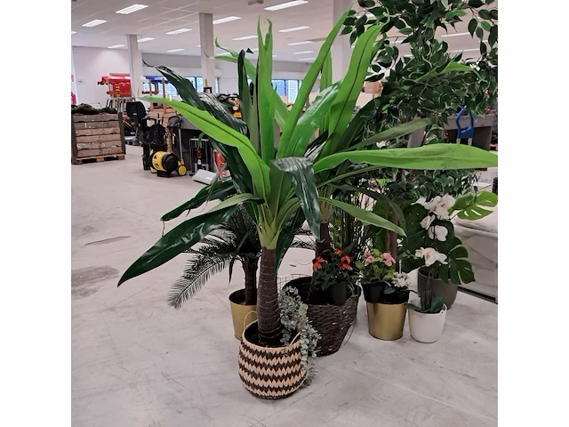 9x kunstplanten en bomen - afbeelding 9 van  12
