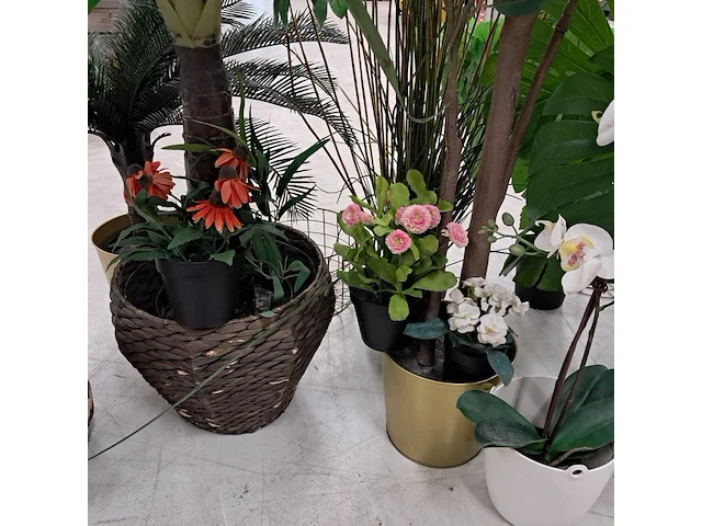 9x kunstplanten en bomen - afbeelding 10 van  12