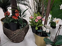 9x kunstplanten en bomen - afbeelding 10 van  12