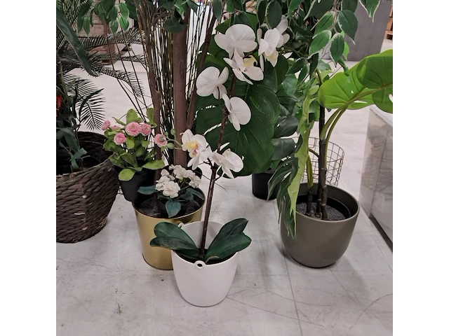 9x kunstplanten en bomen - afbeelding 12 van  12
