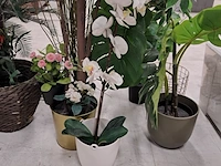 9x kunstplanten en bomen - afbeelding 12 van  12