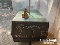 Aanhanger ijswagen - afbeelding 6 van  14