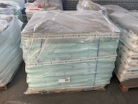 Absorbatie korrels (60x) - afbeelding 3 van  5