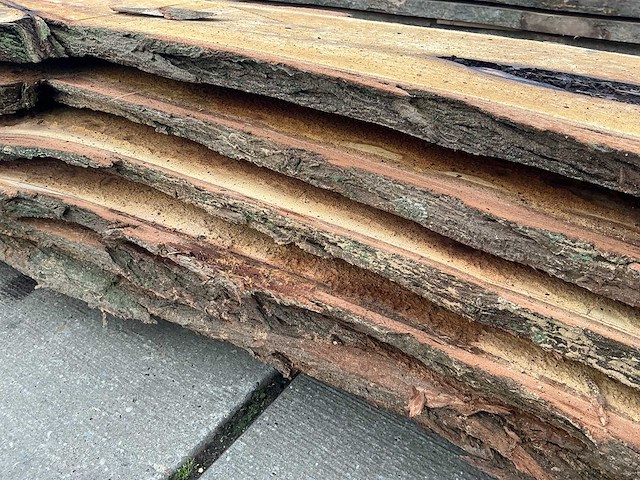 Acacia (0,400 m3) - afbeelding 7 van  10