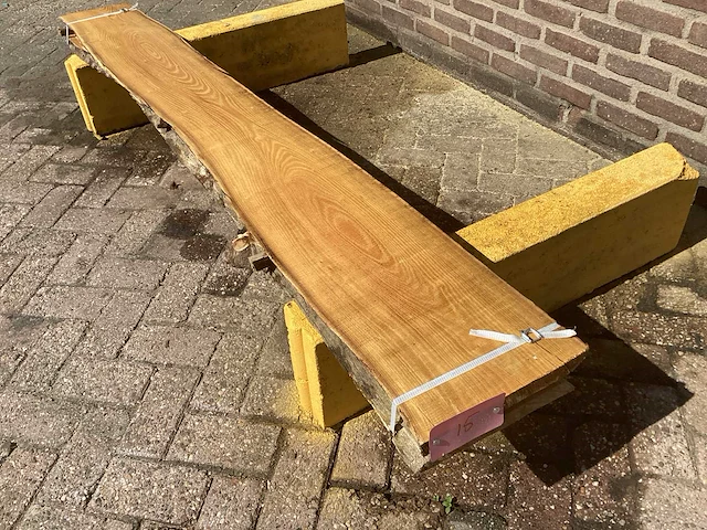 Acacia robinia (2x) - afbeelding 1 van  7