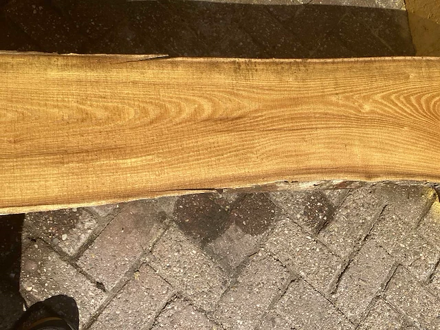 Acacia robinia (2x) - afbeelding 6 van  7