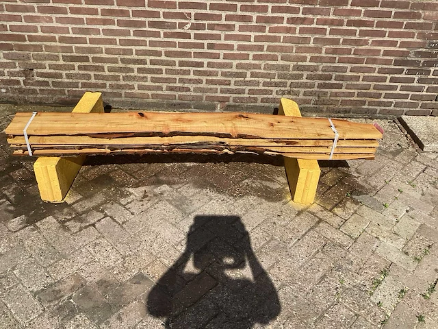 Acacia robinia (4x) - afbeelding 2 van  7