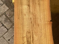 Acacia robinia (4x) - afbeelding 6 van  7