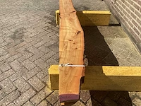 Acacia robinia (4x) - afbeelding 7 van  7