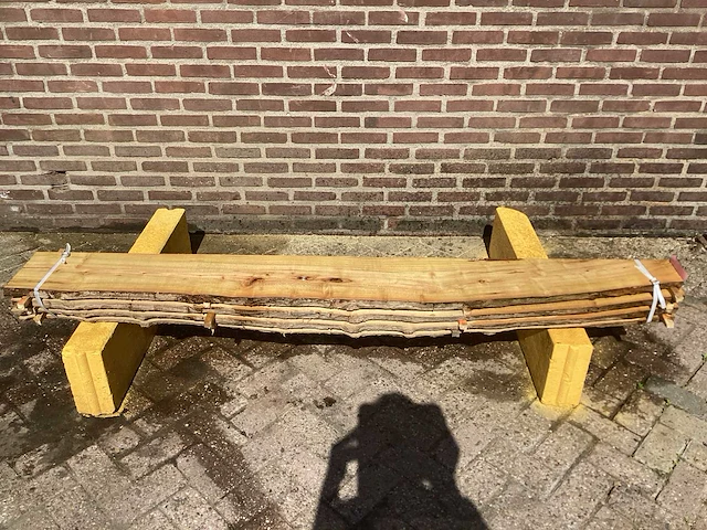 Acacia robinia (4x) - afbeelding 2 van  7