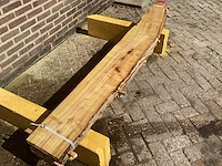 Acacia robinia (4x) - afbeelding 3 van  7
