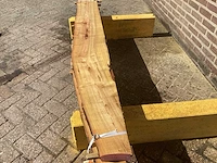 Acacia robinia (4x) - afbeelding 7 van  7