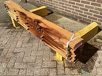 Acacia robinia (6x) - afbeelding 1 van  6