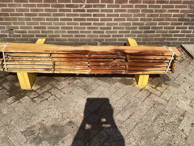 Acacia robinia (6x) - afbeelding 2 van  6