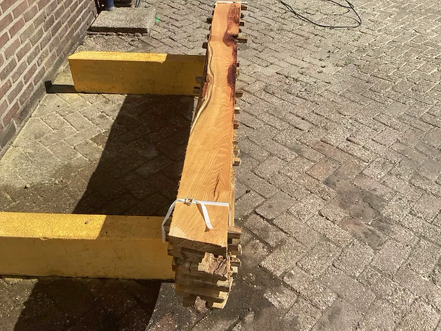 Acacia robinia (6x) - afbeelding 4 van  6