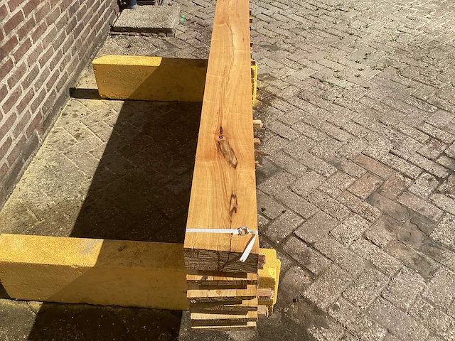 Acacia robinia (6x) - afbeelding 4 van  7
