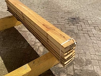 Acacia robinia (6x) - afbeelding 5 van  7
