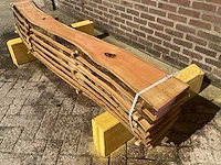 Acacia robinia (7x) - afbeelding 1 van  7