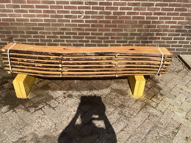 Acacia robinia (7x) - afbeelding 2 van  7