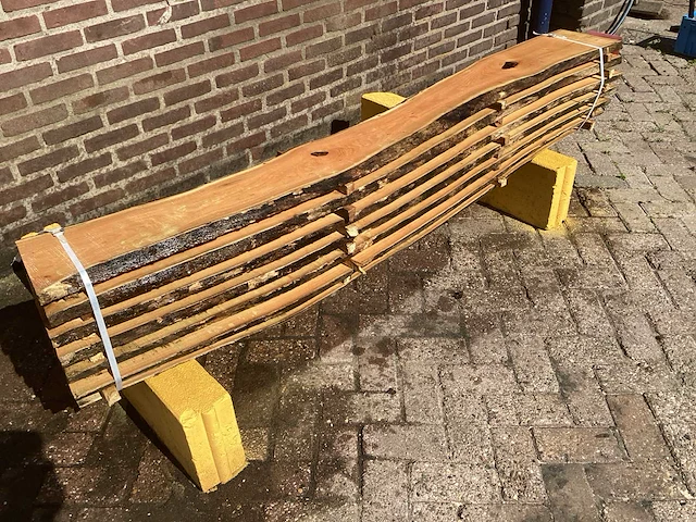 Acacia robinia (7x) - afbeelding 3 van  7