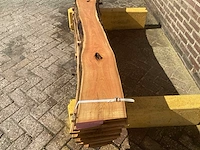 Acacia robinia (7x) - afbeelding 7 van  7