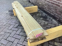 Acacia robinia (7x) - afbeelding 1 van  7