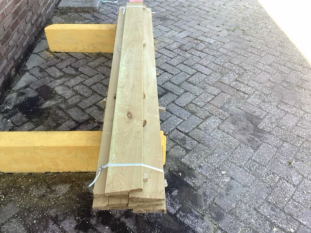 Acacia robinia (7x) - afbeelding 4 van  7