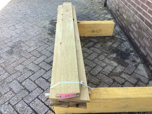 Acacia robinia (7x) - afbeelding 7 van  7