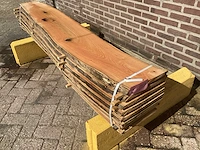 Acacia robinia (8x) - afbeelding 1 van  7