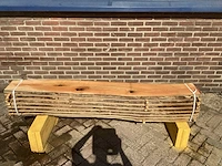 Acacia robinia (8x) - afbeelding 2 van  7