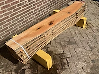Acacia robinia (8x) - afbeelding 3 van  7