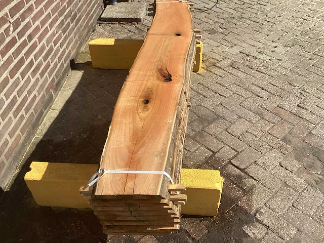 Acacia robinia (8x) - afbeelding 4 van  7