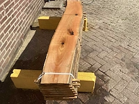 Acacia robinia (8x) - afbeelding 4 van  7