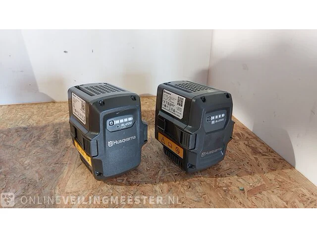 Accupakket (2 accu's incl. oplader) - afbeelding 4 van  7
