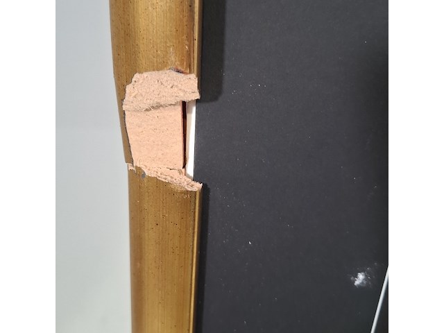 Acryl schilderij, maya wildevuur (1944-2023), 2002 - afbeelding 9 van  9