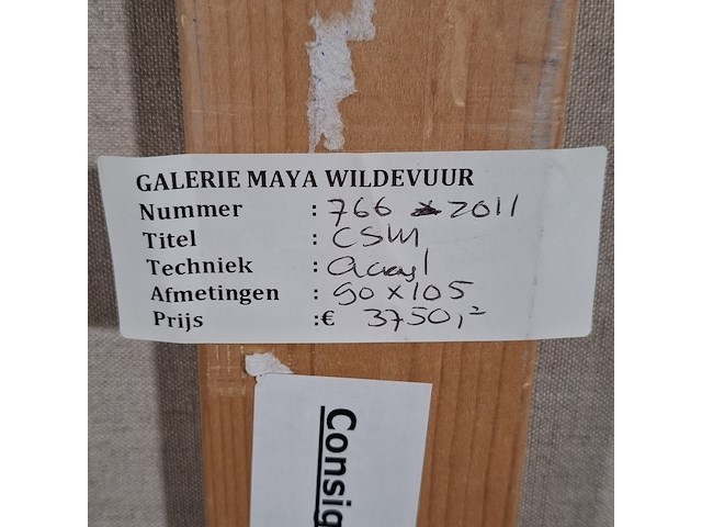 Acryl schilderij, maya wildevuur (1944-2023), 2005 - afbeelding 8 van  8
