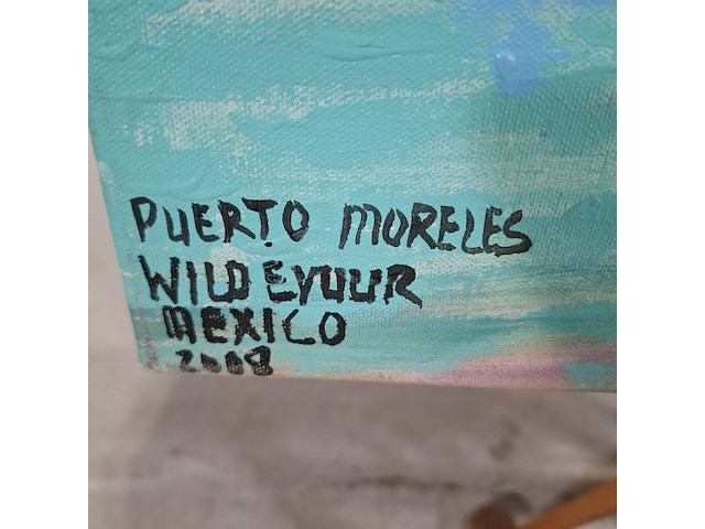 Acryl schilderij, maya wildevuur (1944-2023), puerto moreles, mexico, 2008 - afbeelding 6 van  8